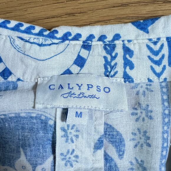 Calypso St Barth Folksy Oversized Top Size Medium Boho Artsy Celestial - Picture 4 of 6